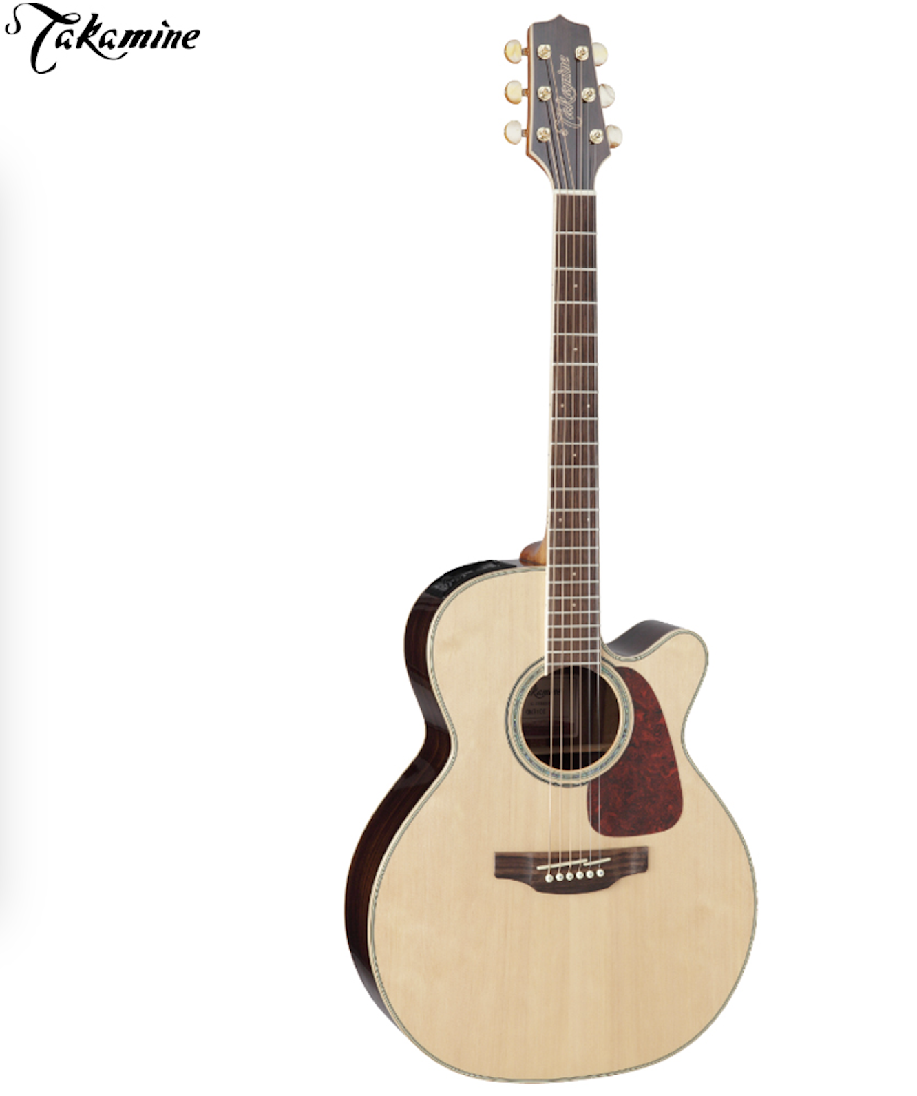 Electro Acoustic Guitar