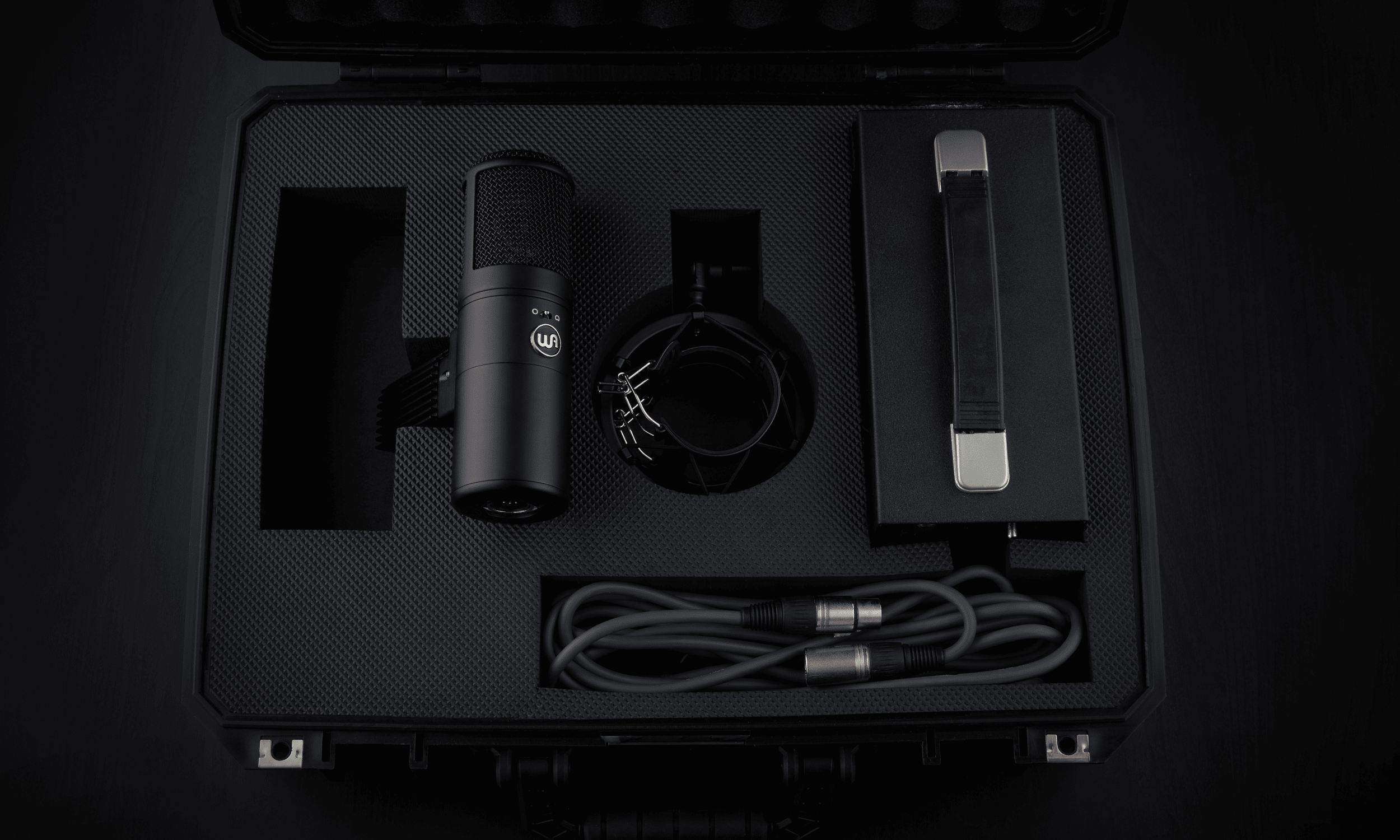 WarmAudio WA-8000 Tube Microphone