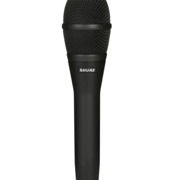 Shure KSM9 Dual-pattern Condenser Vocal Microphone - Charcoal Gray