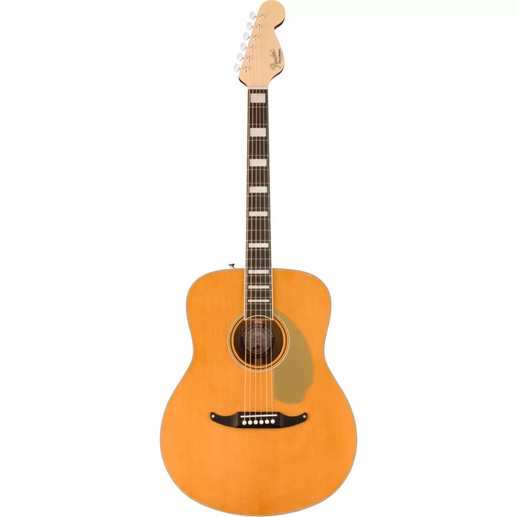 palomino-vintage-acoustic-electric