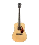 PM-1 LIMITED ADIRONDACK DREADNOUGHT, ROSEWOOD :