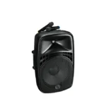 Wharfedale Pro EZ-15A