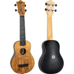 Flight TUS55 Mango