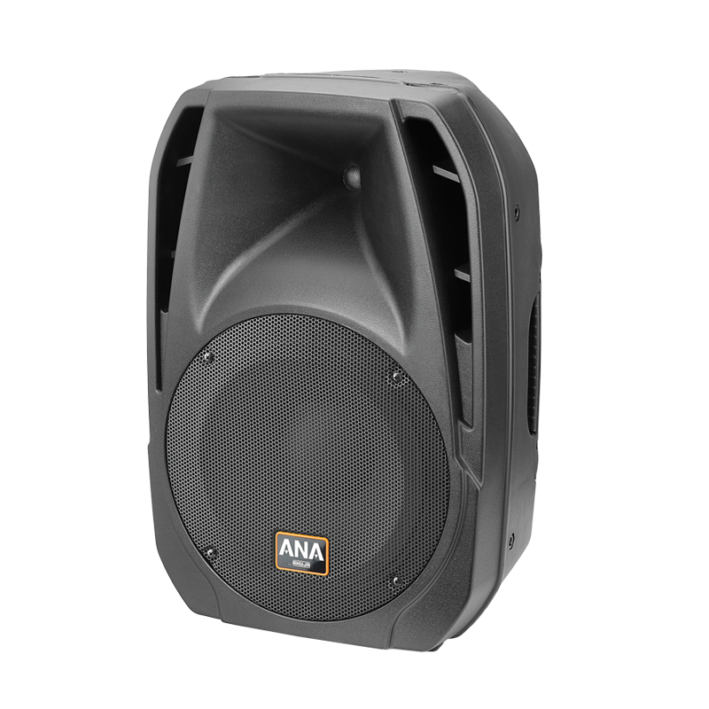Ahuja VX-300 Cabinet Speaker (300 W)