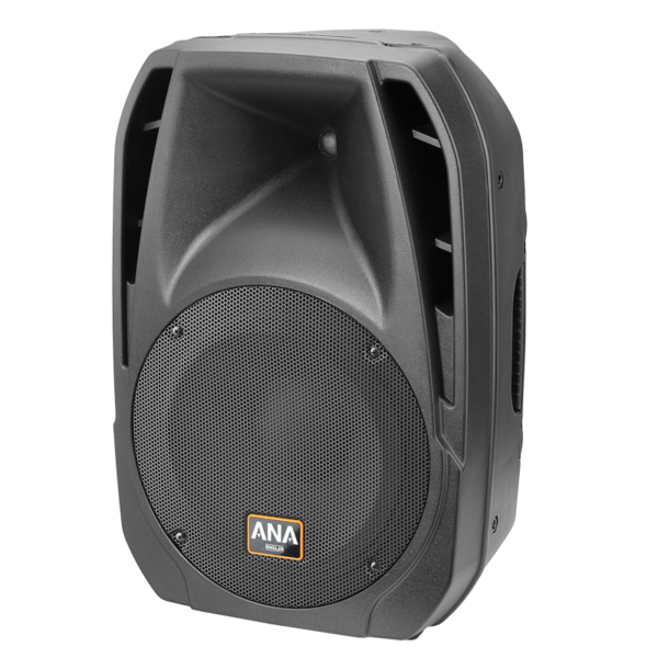 Ahuja VX-400 Cabinet Speaker