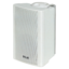 Ahuja PS-400T Wall Speaker