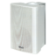 Ahuja PS-500T Wall Speaker
