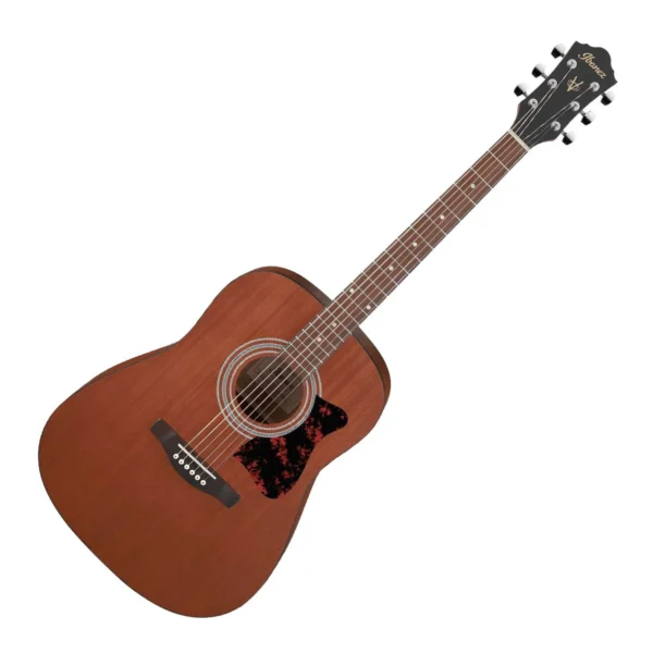 Ibanez V54NJP Acoustic Guitar