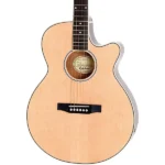 Epiphone PR-4E Acoustic-Electric Guitar